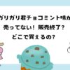 ガリガリ君チョコミント味が売ってない！どこで買える？